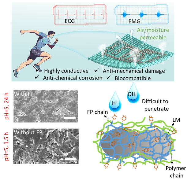 2026国际足联世界杯葛明政教授团队在《Advanced Functional Materials》上发表论文.png